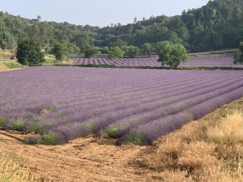Location De Vacances Rians Haut Var Kültér fotó